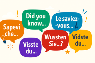 L’uva più coltivata al mondo ha una particolarità che non ti aspetti.