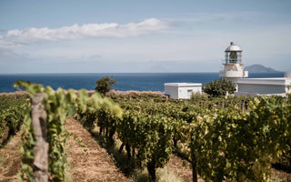 isola di salina - arswine.it