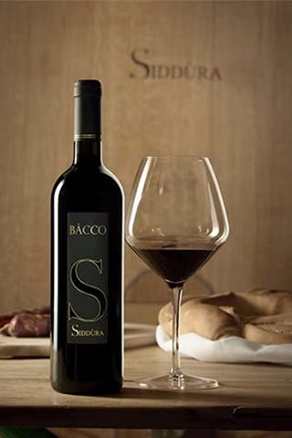 Bacco, Isola dei Nuraghi IGT Carignano - Siddura